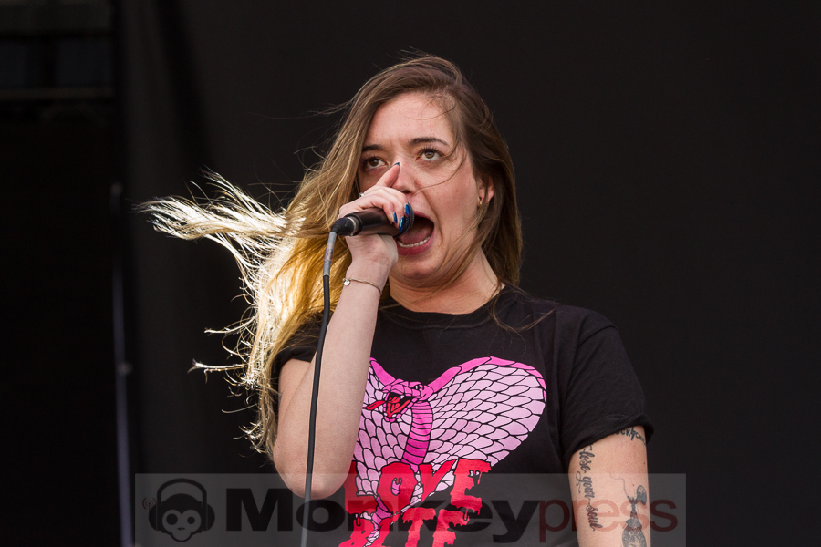 Marmozets, © Markus Hillgärtner
