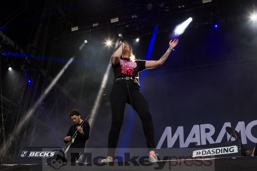 Marmozets, © Markus Hillgärtner