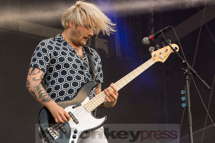 Marmozets, © Markus Hillgärtner