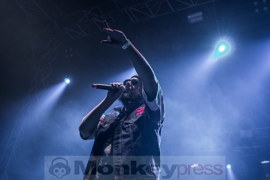 Samy Deluxe, © Markus Hillgärtner