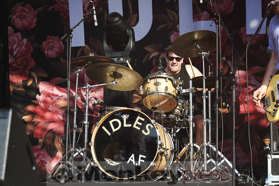 Idles, © Claudia Helmert