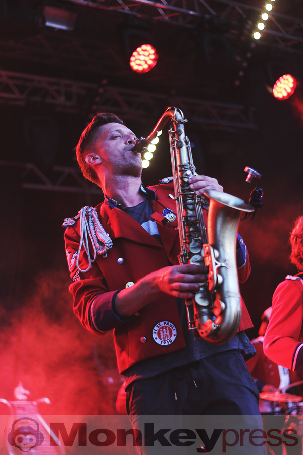 Meute, © Claudia Helmert