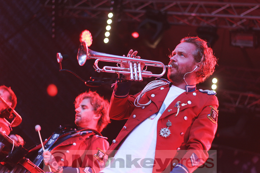 Meute, © Claudia Helmert