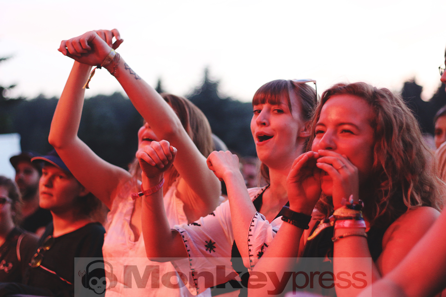 Meute, © Claudia Helmert