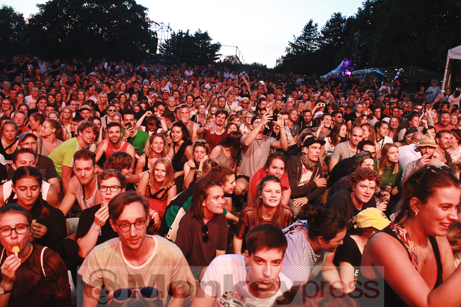 Meute, © Claudia Helmert