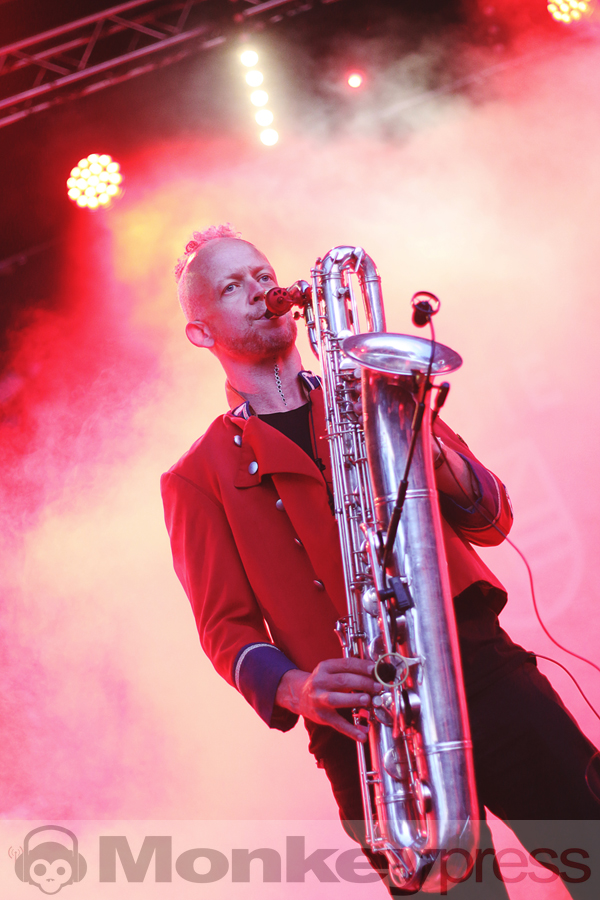 Meute, © Claudia Helmert