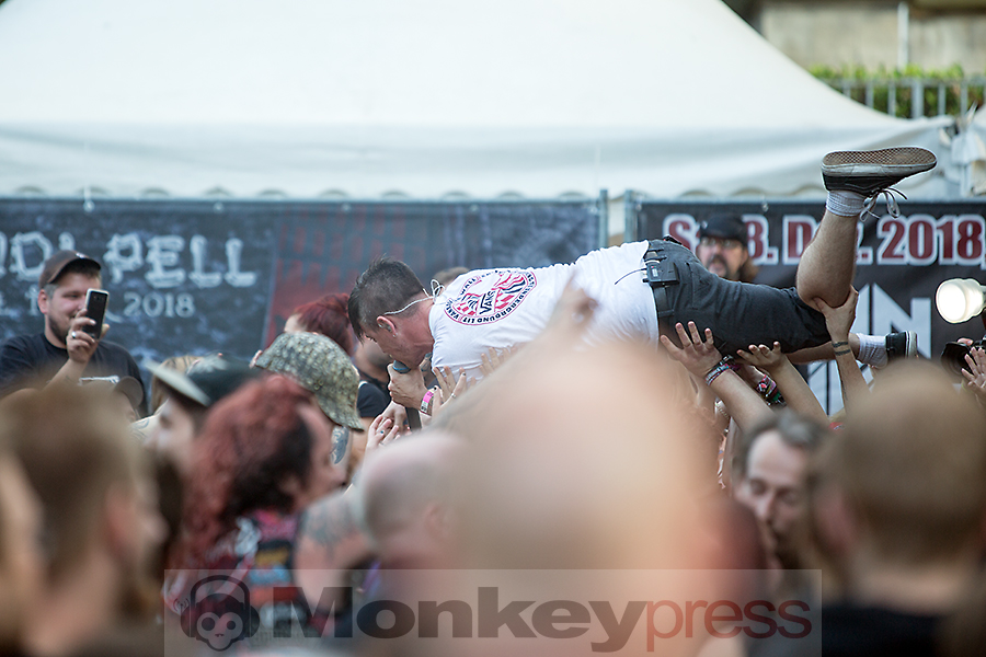 Serum 114 ©Marcus Nathofer