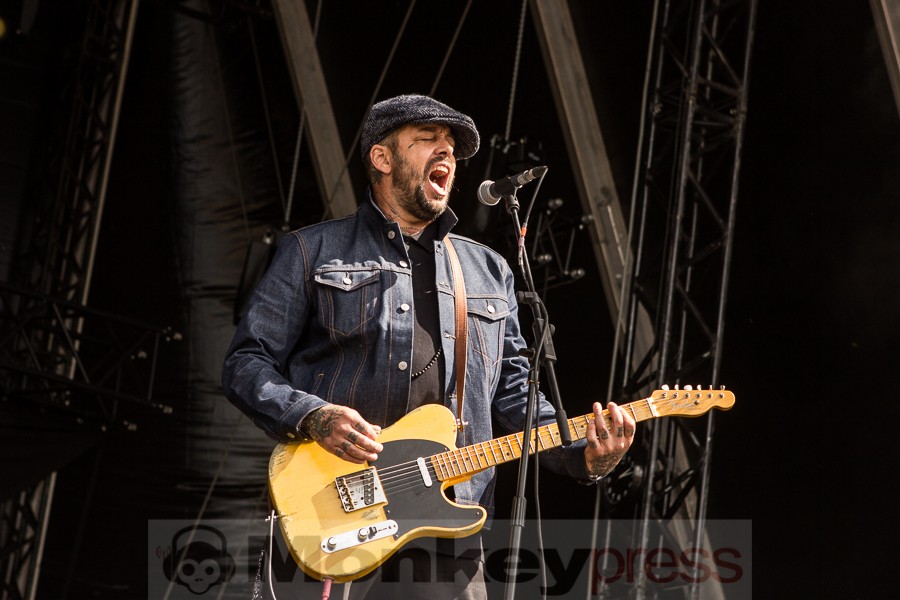 Street Dogs, © Markus Hillgärtner