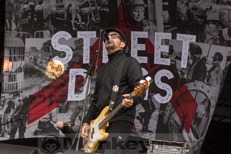 Street Dogs, © Markus Hillgärtner