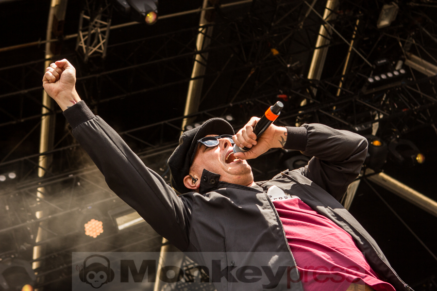 Street Dogs, © Markus Hillgärtner