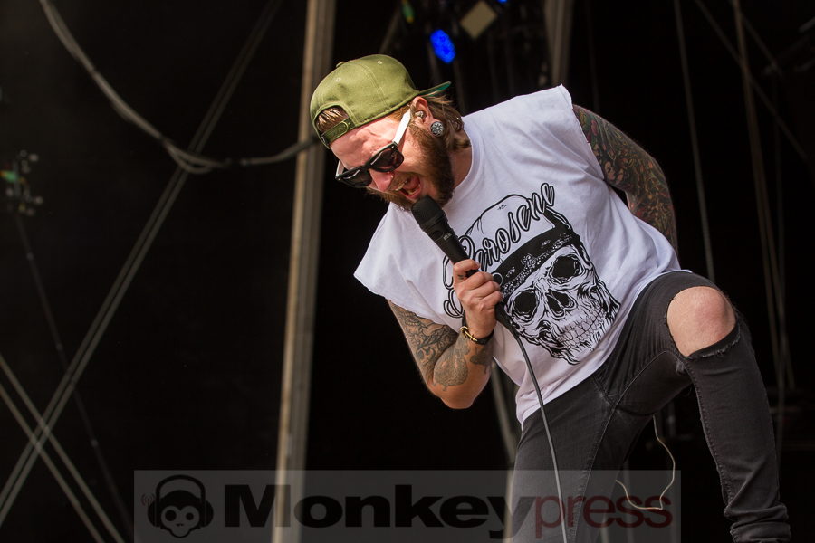 Watch Out Stampede, © Markus Hillgärtner