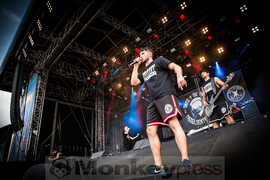 Swiss & Die Andern, (c) Alexander Jung