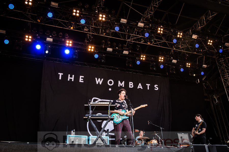 Wombats, (c) Alexander Jung