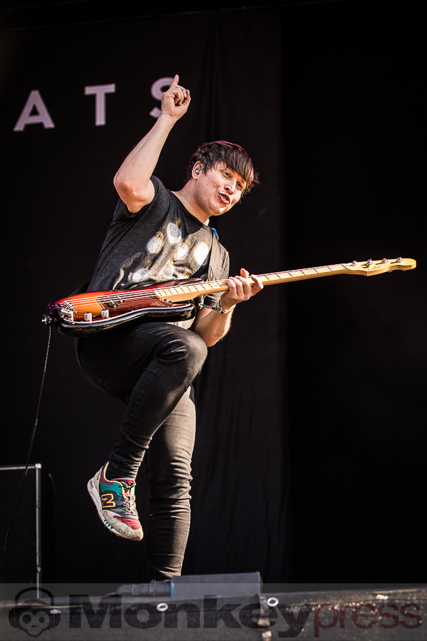 Wombats, (c) Alexander Jung