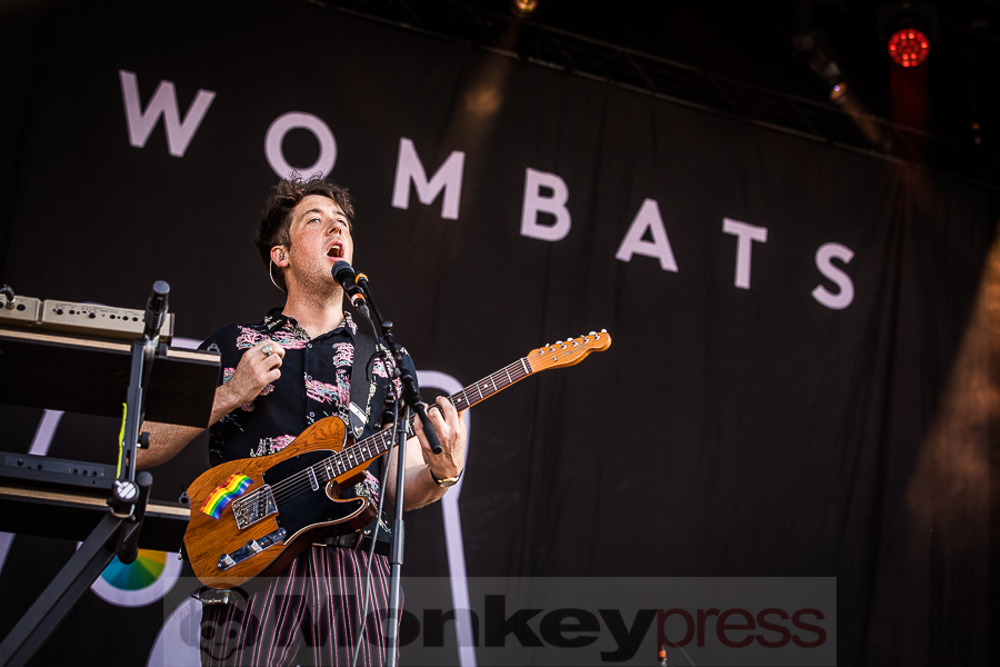 Wombats, (c) Alexander Jung