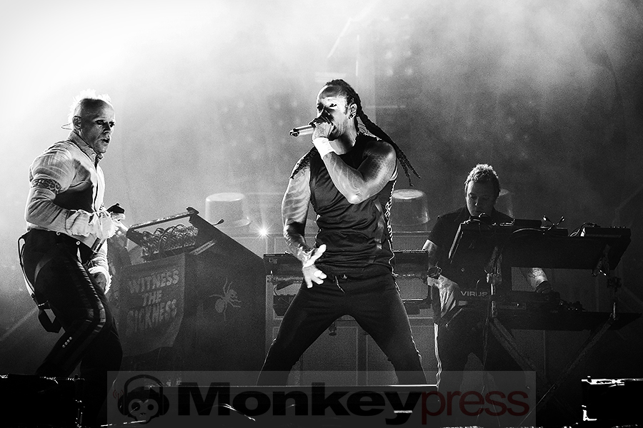 The Prodigy © Sandro Griesbach