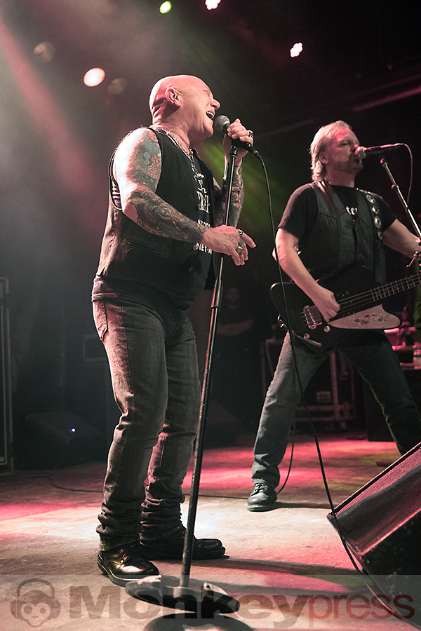 Rose Tattoo ©Marcus Nathofer