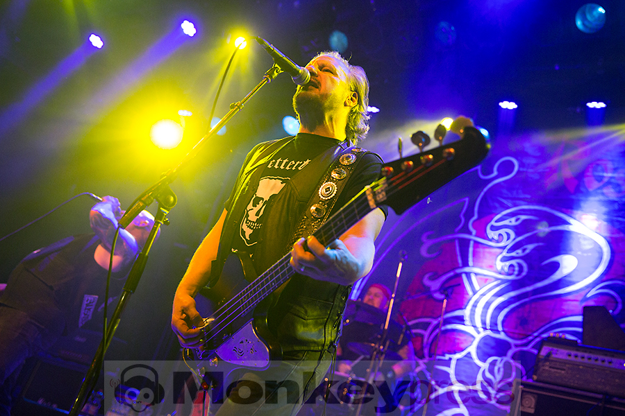 Rose Tattoo ©Marcus Nathofer