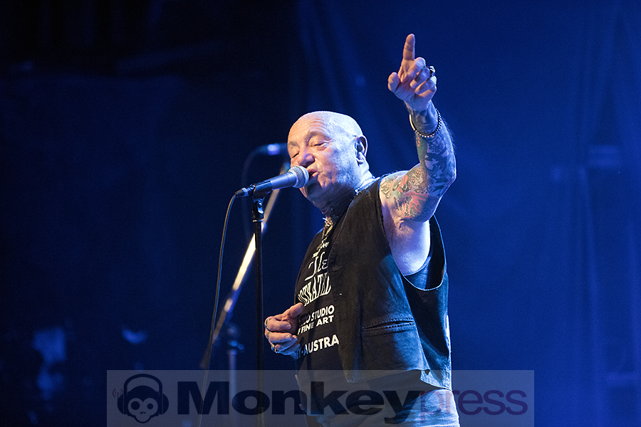 Rose Tattoo ©Marcus Nathofer