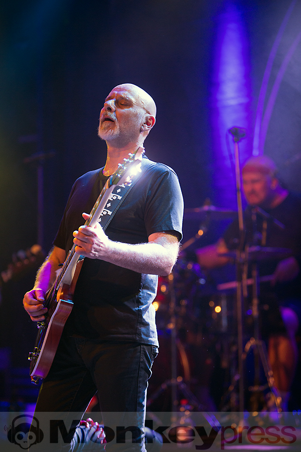 Rose Tattoo ©Marcus Nathofer