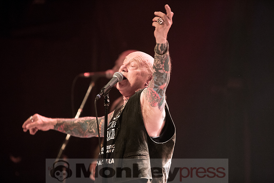 Rose Tattoo ©Marcus Nathofer