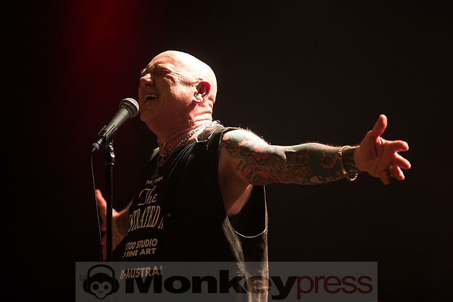 Rose Tattoo ©Marcus Nathofer