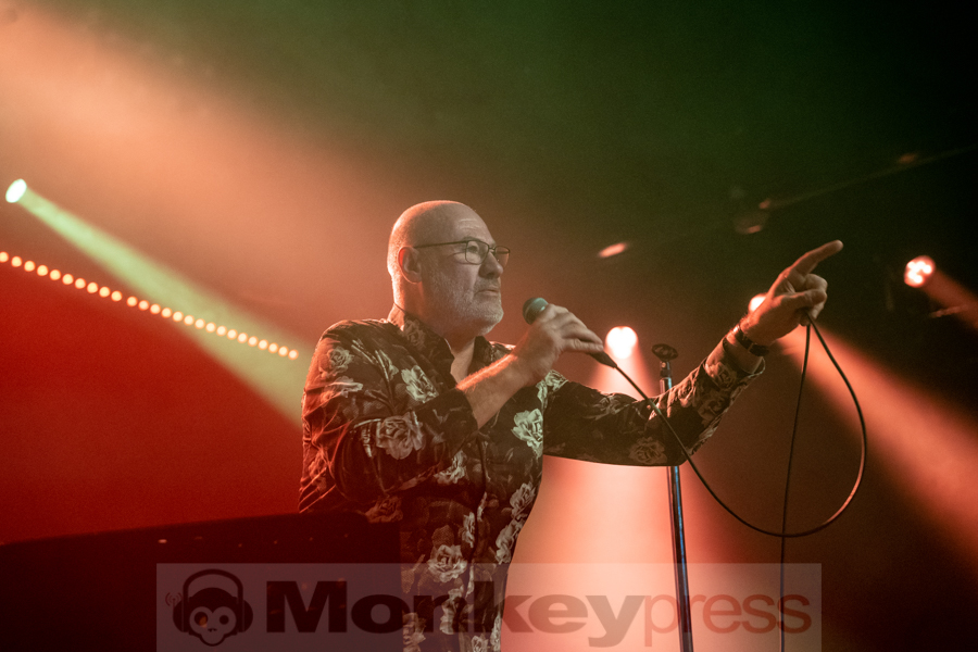 Fish © Angela Trabert