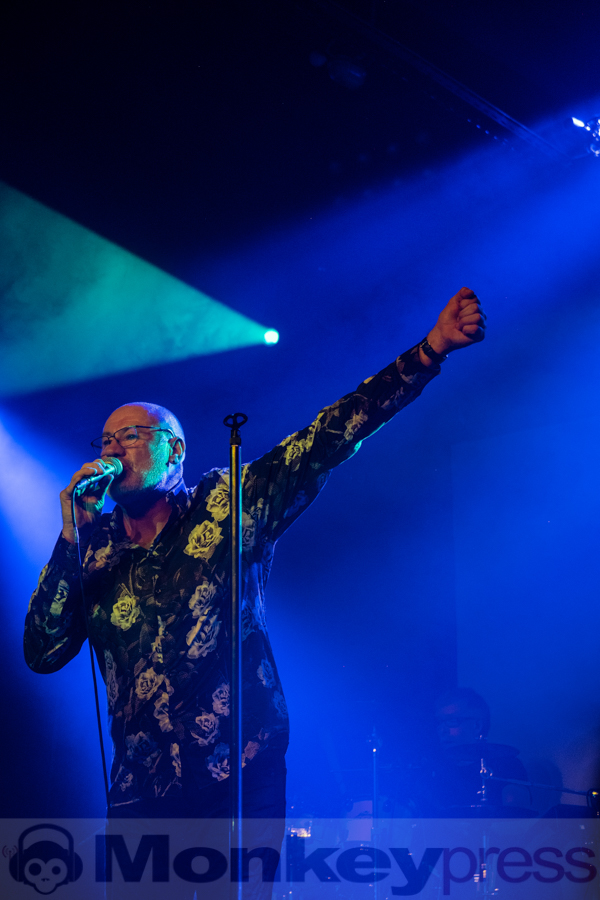 Fish © Angela Trabert