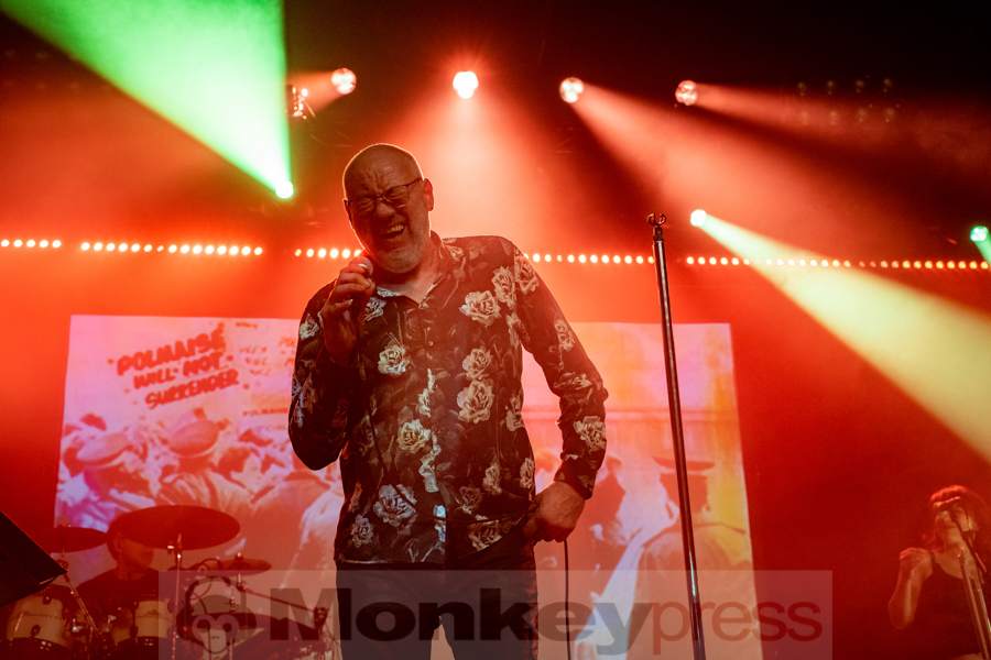 Fish © Angela Trabert