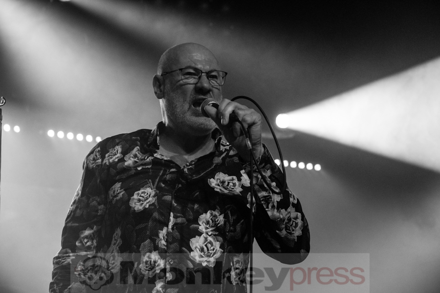 Fish © Angela Trabert