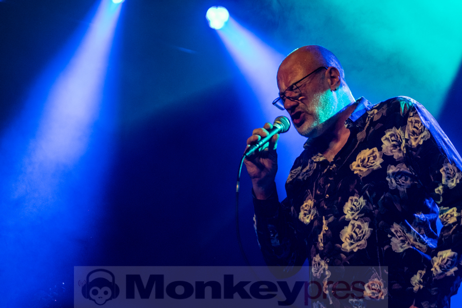 Fish © Angela Trabert