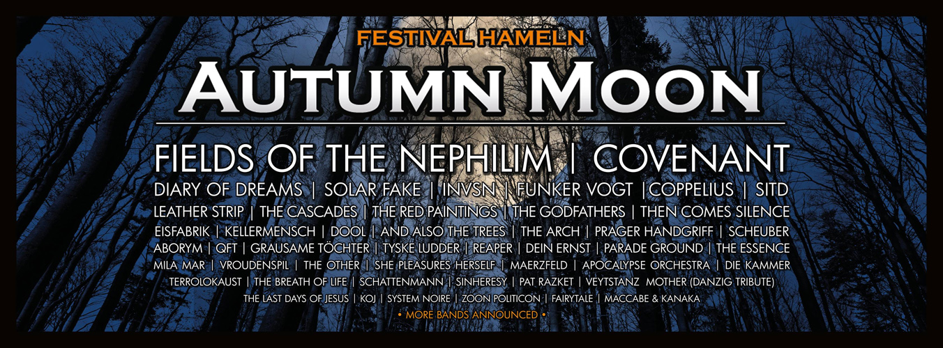 Autumn Moon Festival in Hameln