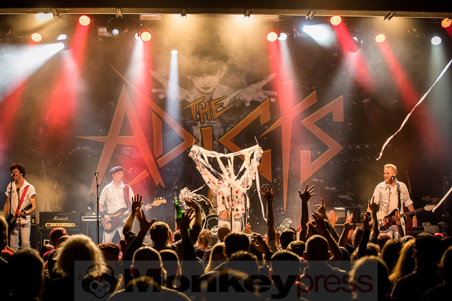 The Adicts, © Michael Gamon