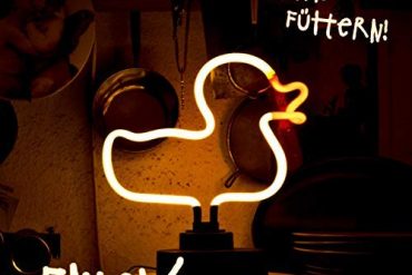 EnteX - Duckpunk aus Berlin mit Debütalbum "Bitte füttern" und Tour