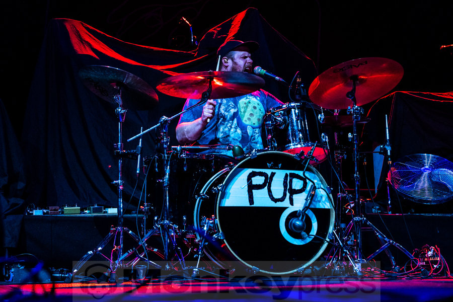 PUP © Angela Trabert