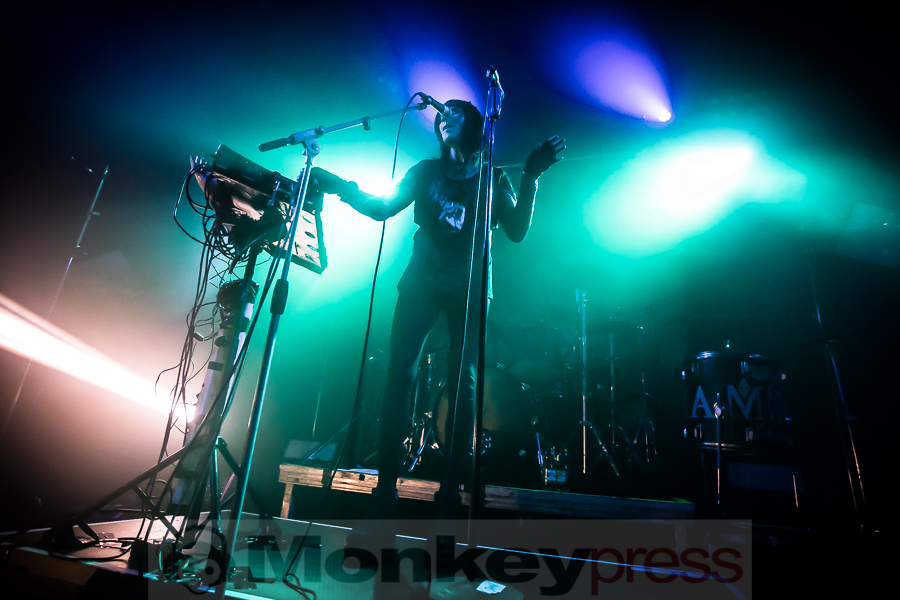 IAMX © Michael Gamon