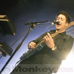 Fotos: THE WOMBATS