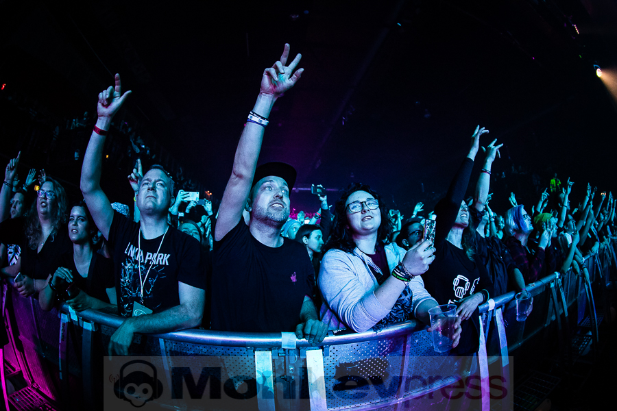 Mike Shinoda © Michael Gamon