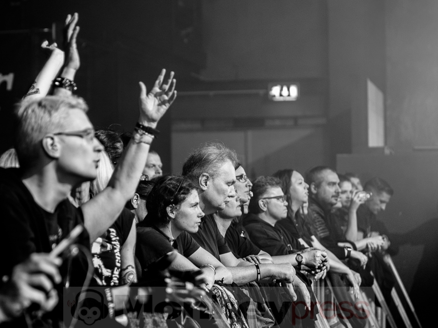 Solar Fake, © Dietmar Grabs