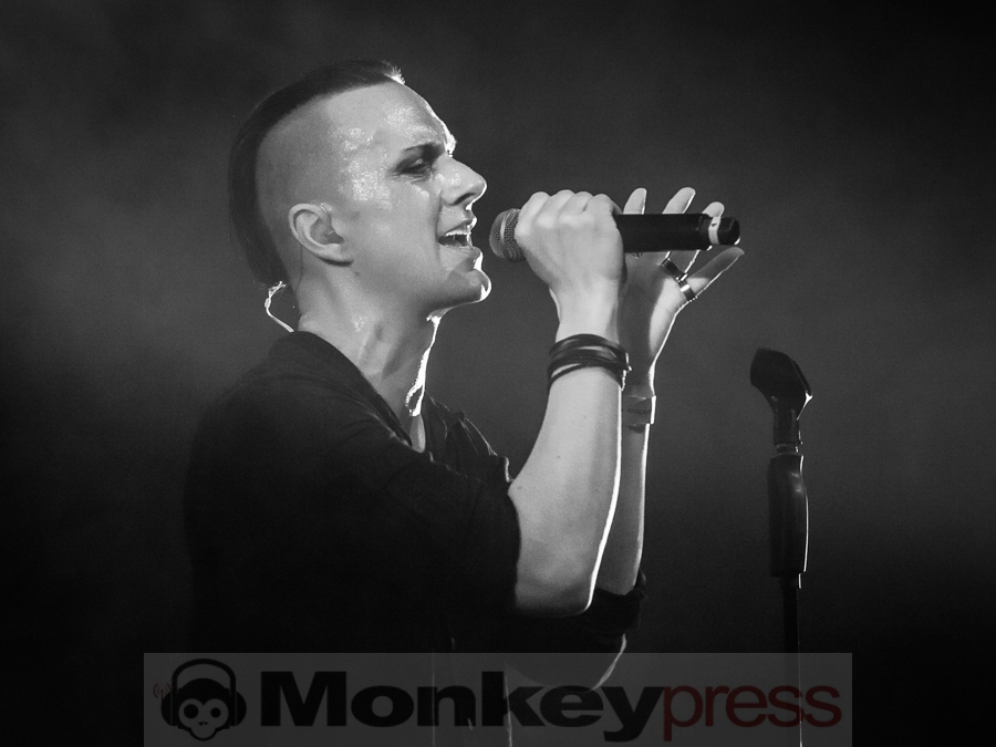 Solar Fake, © Dietmar Grabs