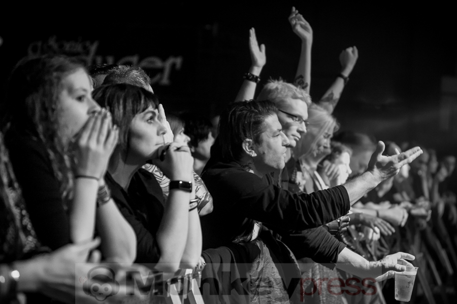 Solar Fake, © Dietmar Grabs