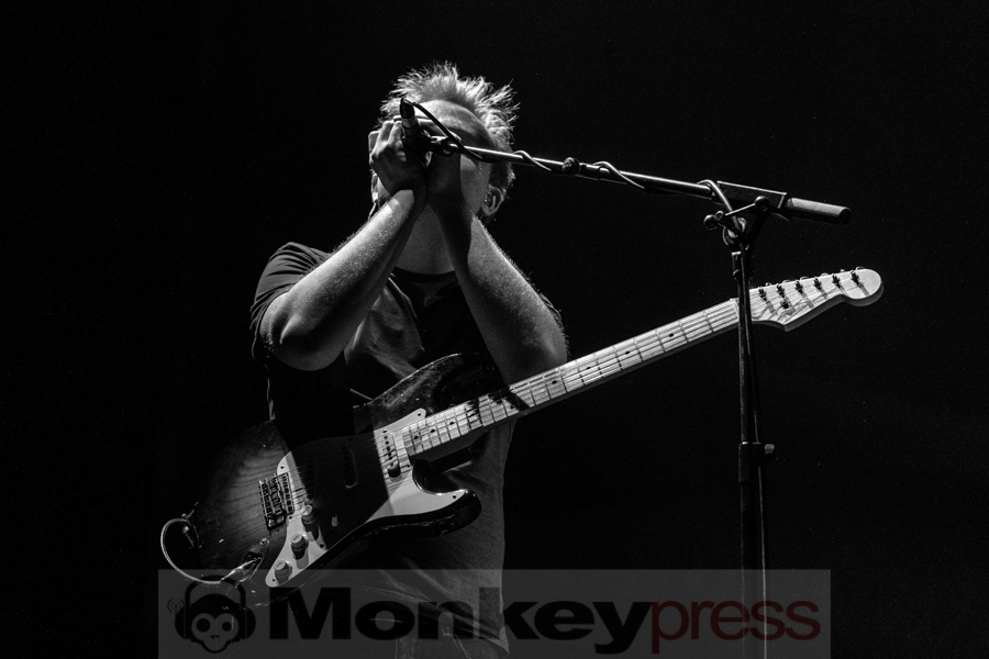 Giant Rooks © Angela Trabert