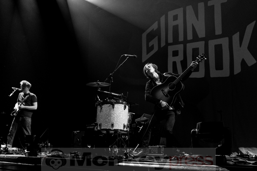 Giant Rooks © Angela Trabert