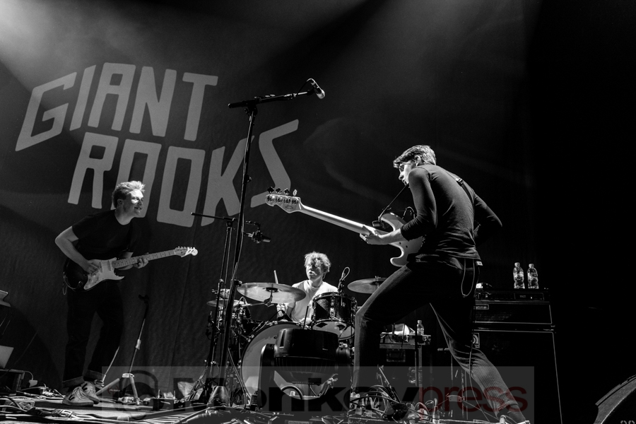 Giant Rooks © Angela Trabert