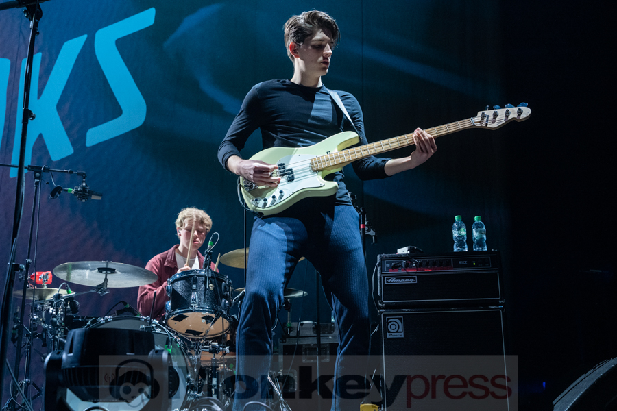 Giant Rooks © Angela Trabert