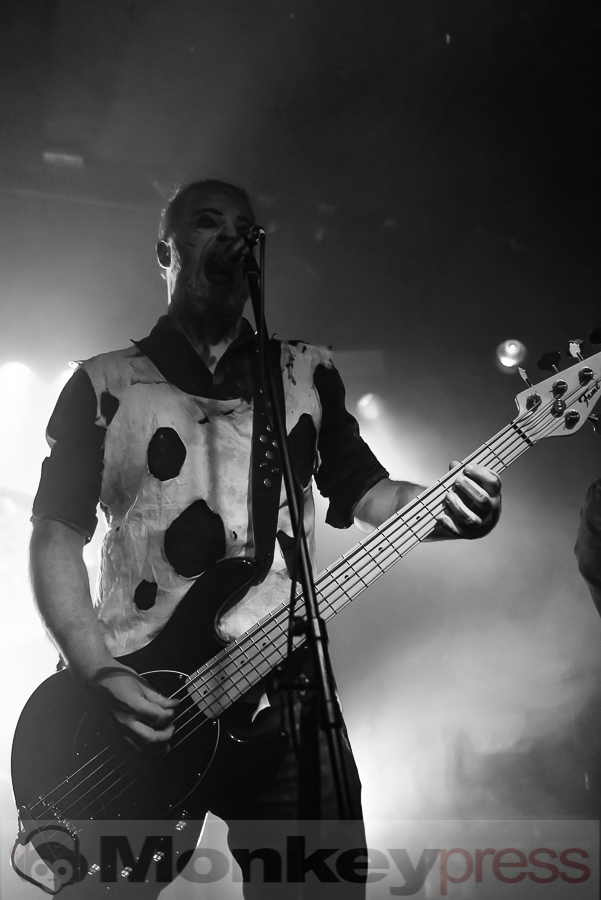 Eis © Thomas Papenbreer