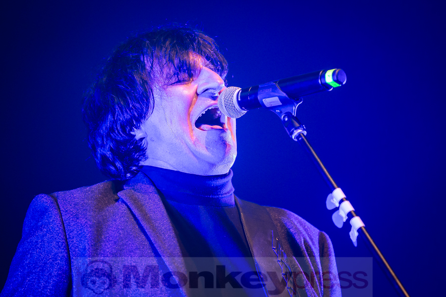 Chameleons Vox, © Michael Gamon
