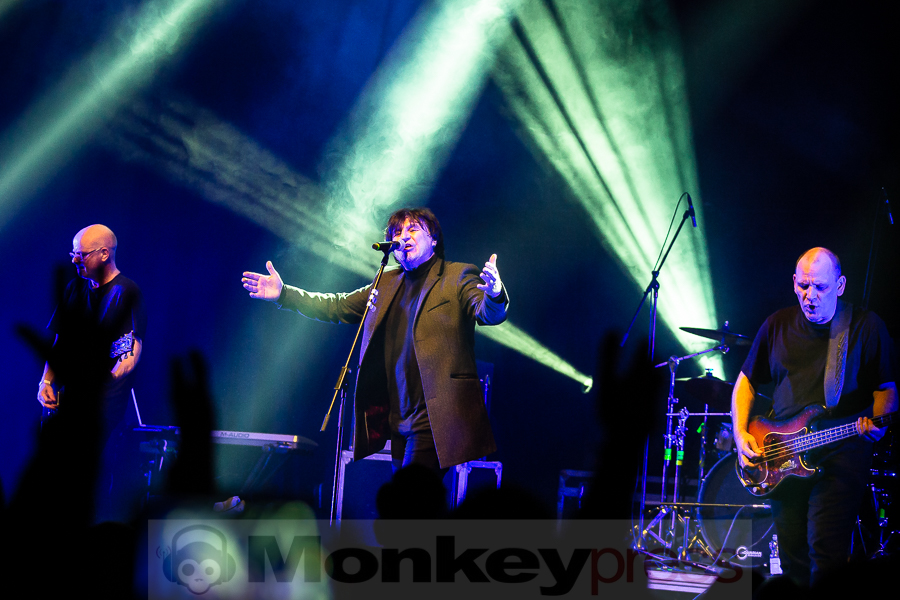 Chameleons Vox, © Michael Gamon
