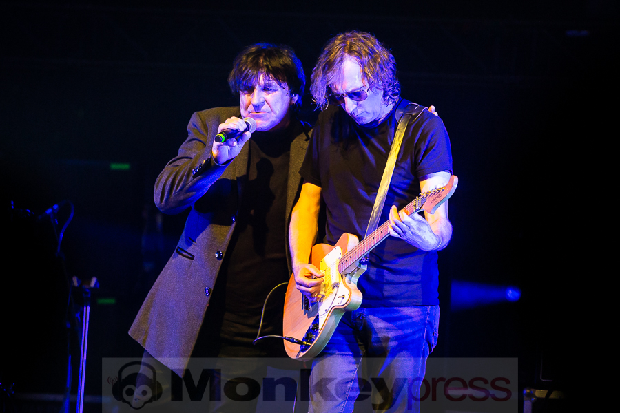 Chameleons Vox, © Michael Gamon