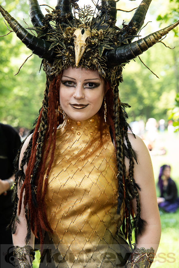 VIKTORIANISCHES PICKNICK © Thomas Papenbreer